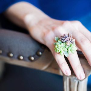 Pilea Peperomioides - Image 5