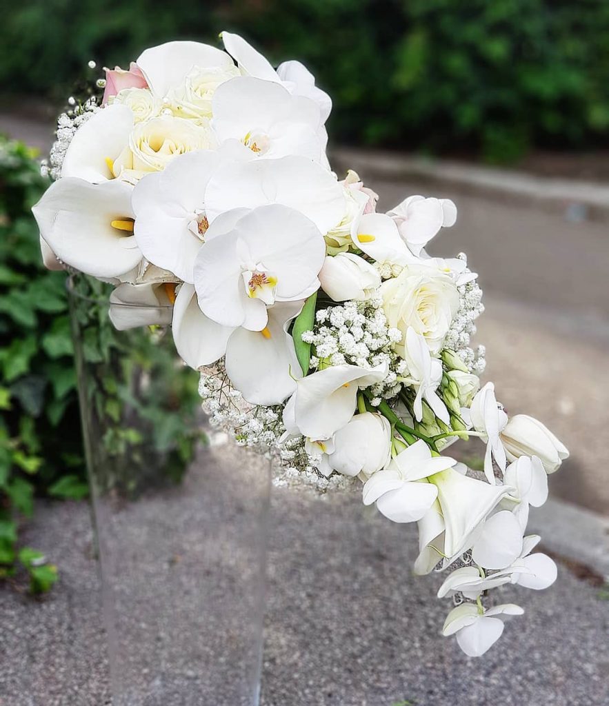 cvetni aranzman sa orhidejama u cvecari elite, zemun, beograd