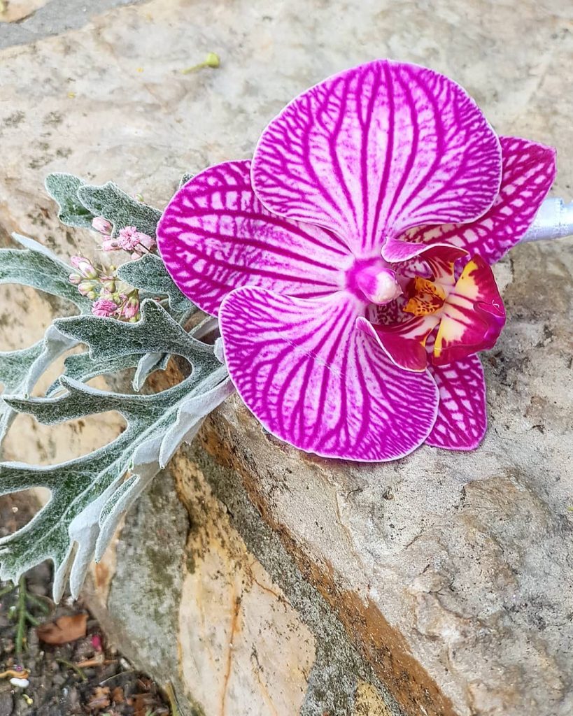 cvetić za revere od orhideje, beograd