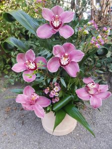 cvetni aranžman od orhideja