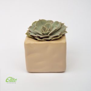 Mini Krasula 2 - Image 3