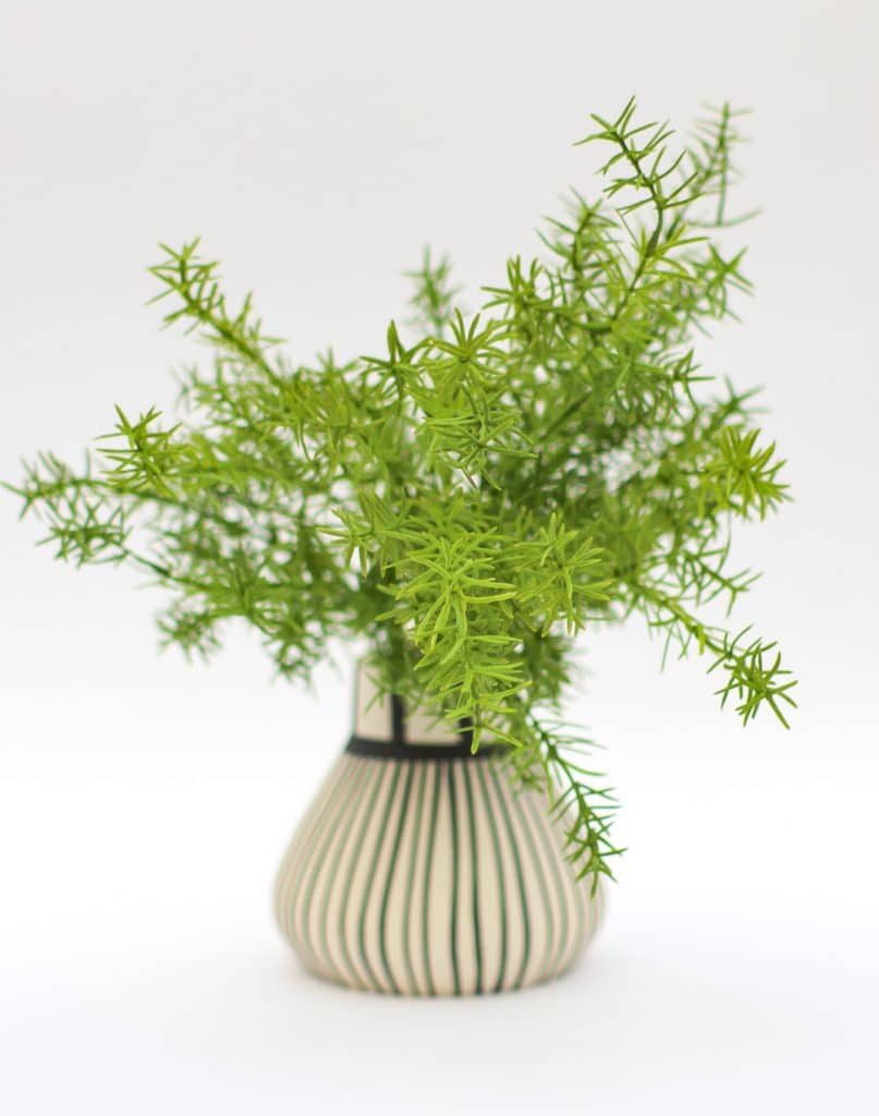 asparagus