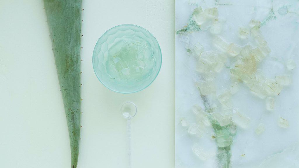aloe vera lekovitost