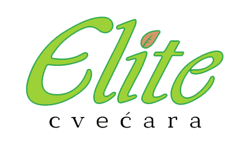 Cvecara Elite